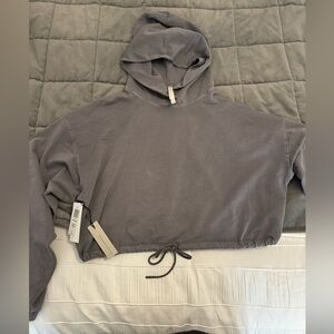 Babaton Vanguard Cropped Hoodie